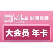 哔哩哔哩大会员12个月  年卡【不支持电视】