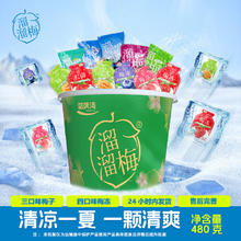 LIUM 溜溜梅 全家桶梅子梅冻 夏季尝鲜全家桶480g