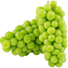 plus会员:美水乐虹正宗阳光玫瑰葡萄精选中果 2斤 带箱果12-6g净1.4斤