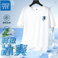 JEANSWEST 真维斯 男士网眼冰丝速干T恤  GW-42