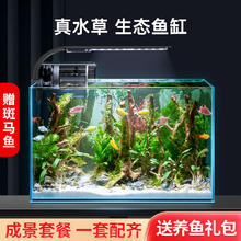 西游水族 鱼缸水族箱超白玻璃客厅小型迷你桌面免换水家用小金鱼缸生态造景 长30*宽18*高20-林海款造景全套