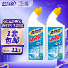 Bluemoon 蓝月亮 洁瓷宝 洁瓷剂500g瓶装 地板瓷砖清洁速除菌剂 500g*2瓶