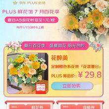促销活动：京东 PLUS会员鲜花特权 每月尊享一次 9.9包邮定制鲜花/绿植