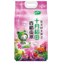 京东百亿补贴：十月稻田 香稻贡米 5kg