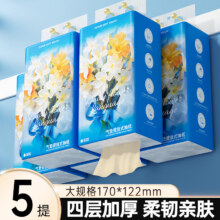 蓝漂 悬挂式抽纸卫生纸巾面巾纸zdm 4层 800张 5提
