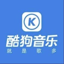 KUGOU 酷狗音乐 豪华VIP会员年卡 12个月