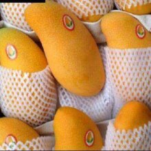 PLUS会员、京东百亿补贴: 甜萌果蔬金 煌芒芒果 精选特大果 单果约250g+ 带箱5斤