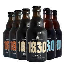 临期品：BRUNE BRUIN 精酿果味啤酒 1830各2瓶 330mL 6瓶 组合装