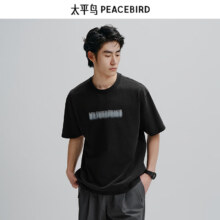 PLUS会员：PEACEBIRD 太平鸟 男装短袖t恤 BWCNE2481-0613