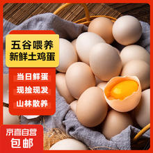 JX 京喜 鲜鸡蛋 4枚 160g