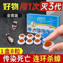 厚生 灭蟑螂曱甴药家用一窝全窝端非无毒正品强力胶饵剂贴厨房神器
