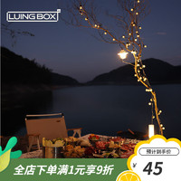 LUING BOX 露营盒子 串灯户外灯球帐篷装饰灯氛围灯防水电池USB双供电精致灯 乳白色圆灯
