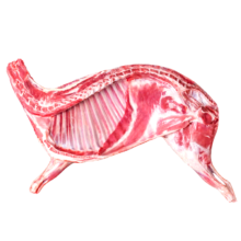 PLUS会员、京东百亿补贴：羊食光 羊肉新鲜半只羊 10斤