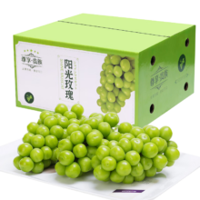 陇百味 四川阳光玫瑰 青提 整箱  2斤 单果7g-10g