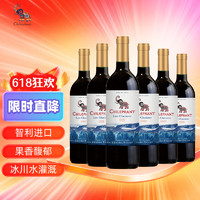 CHILEPHANT 智象 冰川赤霞珠干红葡萄酒750ml*6整箱红酒 智利进口红酒
