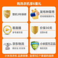 米家小米出品波轮洗衣机全自动 10KG直驱电机节能低噪纳米银离子除菌 智能投放无残留XQB100MJ101