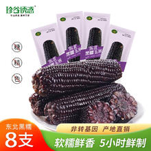 珍谷诱惑 黑糯玉米 200g*8支