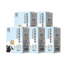 认养 4.0g蛋白质 吃甘蔗的水牛 纯牛奶