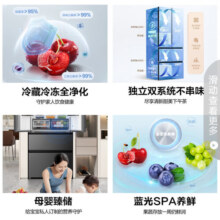 容声离子净味509升变频一级能效法式多门四开门嵌入式冰箱灰色家用无霜除菌BCD-509WD18MP双循环大容量 509L大容量