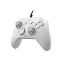 FLYDIGI 飞智 冰原狼2 有线游戏手柄