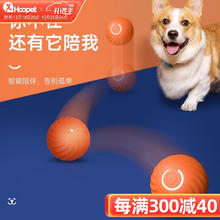 Hoopet 华元宠具 华元 Hoopet 华元宠具 自动逗狗球可充电