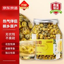 京东京造 杭白菊花茶胎菊100g