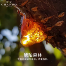 CHANDO 自然堂 无烟香薰蜡烛 150g