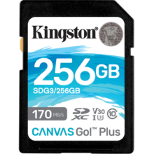 金士顿（Kingston）SD存储卡 高速相机内存卡单反微单sd卡 class10 U3 V30 SDG3/256G【读速170M/S 丨4K超清】
