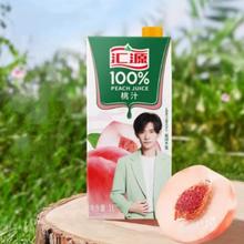 汇源 浓缩纯果汁饮料1L*2盒