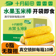 百亿补贴：SHI YUE DAO TIAN 十月稻田 东北香甜水果玉米棒220g*10根 开袋即食真空