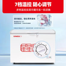 XINGX 星星 305升 商用卧式冰柜 单温单箱冰箱 冷藏冷冻转换冷柜 安全门锁 顶开门 BD/BC-305E
