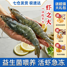 CP 正大食品 白对虾 净重1.4kg 时令生鲜礼盒装 40-45只