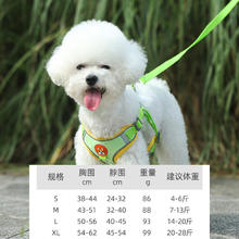 宾狗 狗狗牵引绳背心式遛狗中型小型犬泰迪柯基博美幼犬宠物网红胸背带