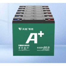 10点开始：TIANNENG BATTERY 天能电池 天能电动车电池 60V20Ah 铅酸电池