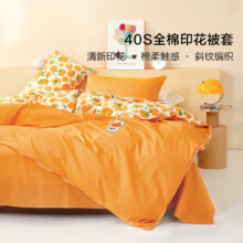 百丽丝家纺：水星集团出品田园几何印花100%全棉被套