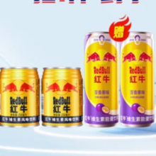 RedBull 红牛 维生素风味饮料 250ml*2罐+0糖果味325ml*2罐