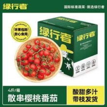 绿行者 散串樱桃番茄 500g*4盒