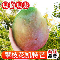 哦咯 四川攀枝花凯特芒果新鲜水果香甜爽口现摘现发当季水果果农精选 凯特芒（热销款） 5斤大果