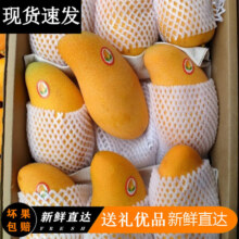 甜萌果蔬 金煌芒芒果 选大果（单果250g+） 带箱5斤