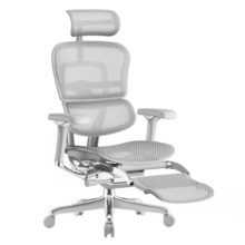 Ergonor 保友金豪L 2代 高端电脑椅人体工学椅子 电竞椅办公椅家用老板椅 银白美国网+躺舒宝 联动扶手