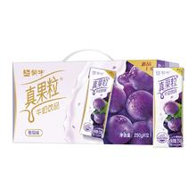 蒙牛真果粒葡萄味牛奶饮品250g×12包