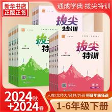 《小学拔尖特训》（各年级上册/科目任选）