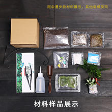 JINGJIAO 菁娇 创意鲜活苔藓微景观 diy材料包