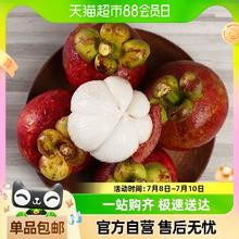 鲜蜂队 蜂队 泰国山竹3斤 中果3A顺丰包邮