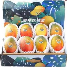 四川攀枝花凯特芒 9斤 特大果 单果600g-1200g+