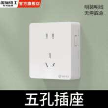需入会、首购、plus会员:国际电工明装连体开关插座 五孔＊1件