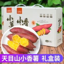 众知鲜 正宗临安天目山小香薯精选礼盒5斤中号香薯红薯板栗番薯地瓜批发