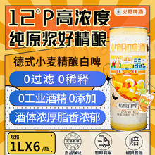 KapalApi 火船 青岛精酿原浆啤酒德式白啤12°P 德式白啤 1L 6罐