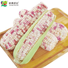 plus会员：家美舒达山东 应季新鲜玉米 甜花糯玉米 2.5kg*5件