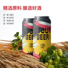 蕴酿之林 全麦黑啤/白啤精酿啤酒500mL*12听